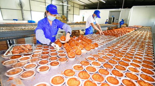 云南彌勒 特色手工紅糖生產忙，傳承美味與匠心